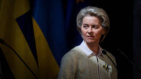 Von der Leyen facing growing discontent in EU capitals – media