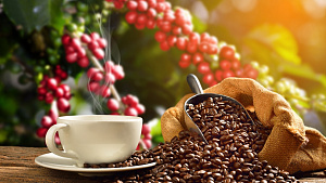 India's coffee exports double in four years