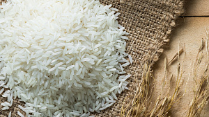 Venezuelan rice production increases by 26% in 2024